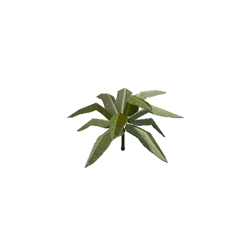 Tropical Plant 5 (Type 1)